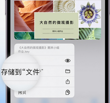 板芙镇apple维修中心分享iPhone文件应用中存储和找到下载文件