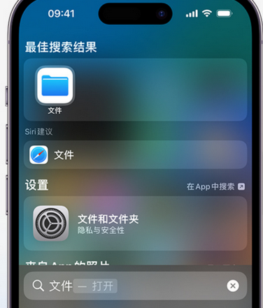 板芙镇apple维修中心分享iPhone文件应用中存储和找到下载文件