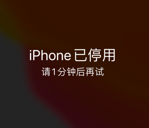 板芙镇苹果手机维修分享:iPhone 显示“不可用”或“已停用”怎么办？还能保留数据吗？ 