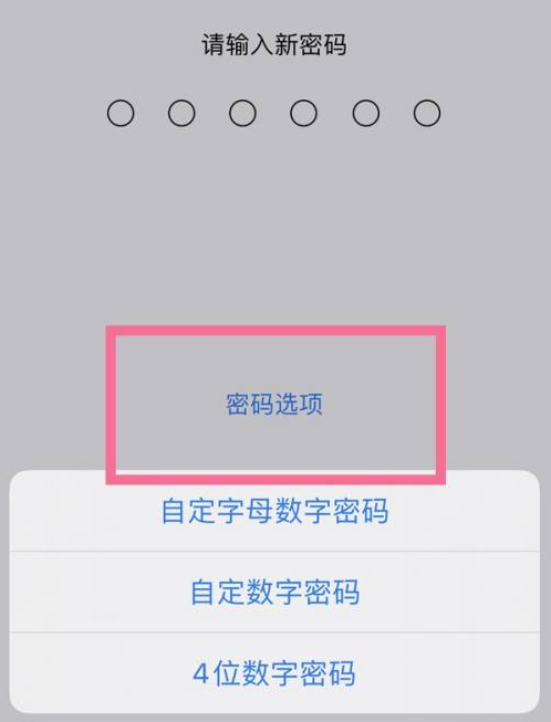 板芙镇苹果14维修分享iPhone 14plus设置密码的方法 