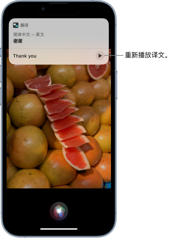 板芙镇苹果14维修分享 iPhone 14 机型中使用 Siri：了解 Siri 能帮你做什么 