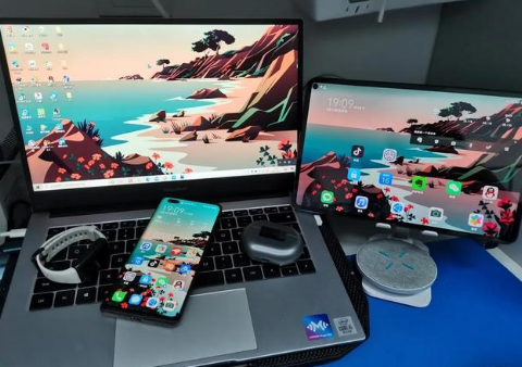 板芙镇苹果手机维修分享为什么iPad屏幕更大价格却比iPhone低 